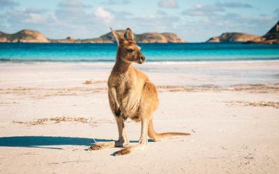 Tổng hợp những thắc mắc về việc xin visa Úc năm qua và giải đáp